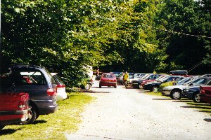 What we were born to do: park cars