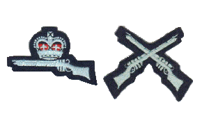 ATC and RAF marksman badges